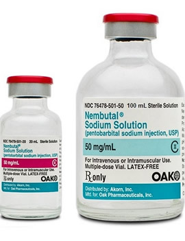 Order Nembutal Pentobarbital Sodium (Injectable) 100ml Online